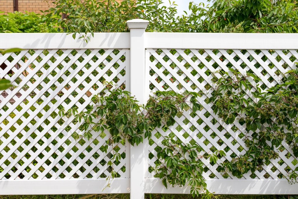 plastic lattice fencing